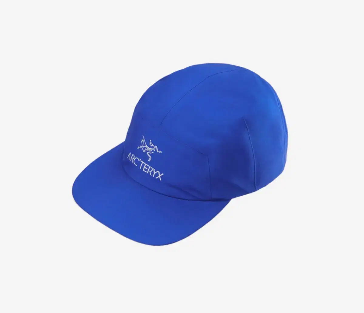 아크테릭스 고어5 Panel Cap Vitality